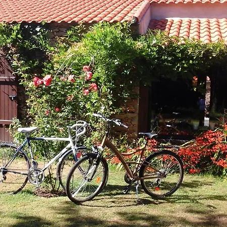 Accessible Avec Jardin Fleuri Près De Pornic, éco-rénové Et équipé *